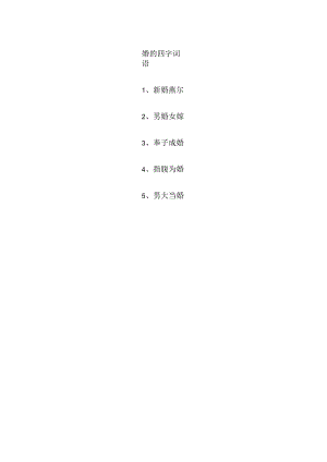 婚的四字词语.docx