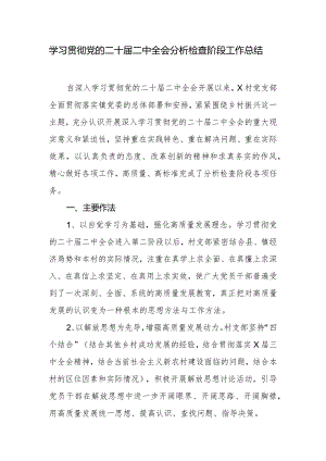 学习贯彻党的二十届二中全会分析检查阶段工作总结.docx