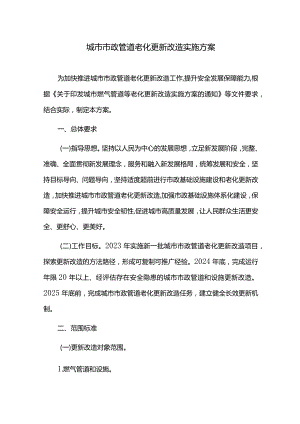 城市市政管道老化更新改造实施方案.docx