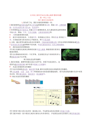 五年级上册科学知识点精心梳理【教科版】.docx