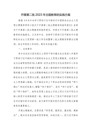 开展第二批2023年主题教育的实施方案.docx