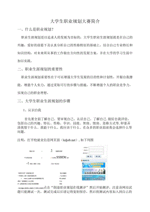 大学生职业规划大赛简介.docx