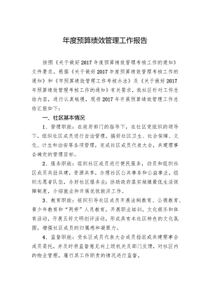 年度预算绩效管理工作报告.docx