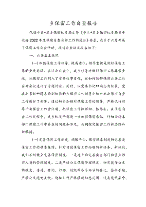 乡保密工作自查报告.docx