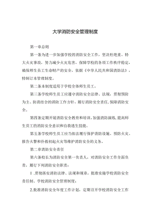 大学消防安全管理制度.docx