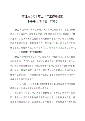 审计局2022年上半年工作总结及下半年工作计划（2篇）.docx