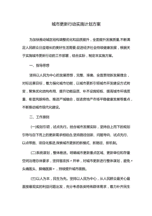 城市更新行动实施计划方案.docx