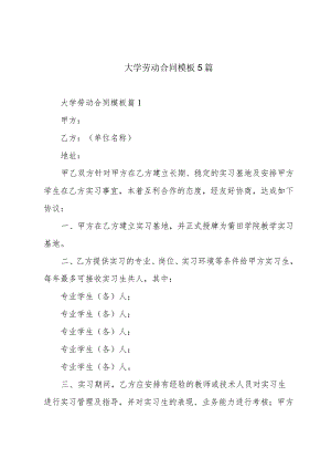 大学劳动合同模板5篇.docx