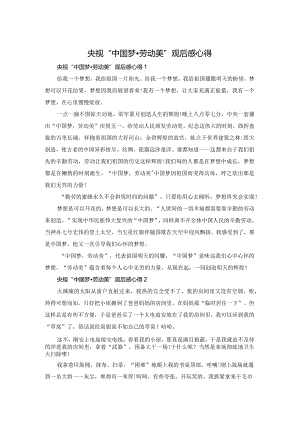 央视“中国梦·劳动美”观后感心得.docx