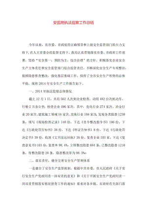 安监局执法监察工作总结.docx