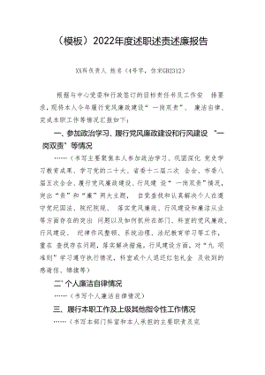 (模板)2022年度述职述责述廉报告.docx
