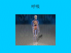 容量(L) 时间(S) FEV1 FVC FEF2575.ppt