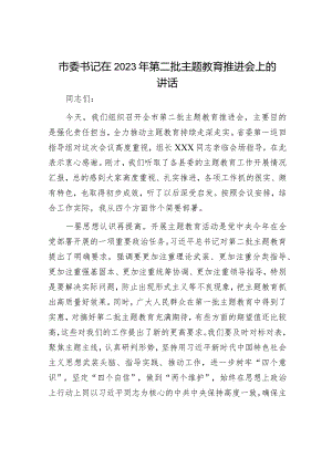 在主题教育阶段性总结推进会上的主持讲话精选合辑.docx