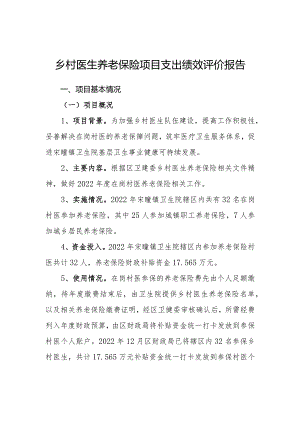 卫生院乡村医生养老保险项目支出绩效自评表和支出绩效评价报告.docx