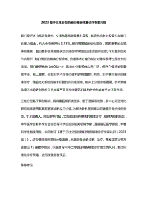 2023基于三柱分型的髋臼骨折精准诊疗专家共识.docx