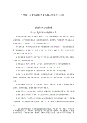 “蹲苗”县委书记向省委汇报工作报告（六篇）.docx