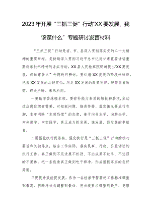 2023年“三抓三促”行动“XX要发展、我该谋什么”专题研讨发言材料.docx