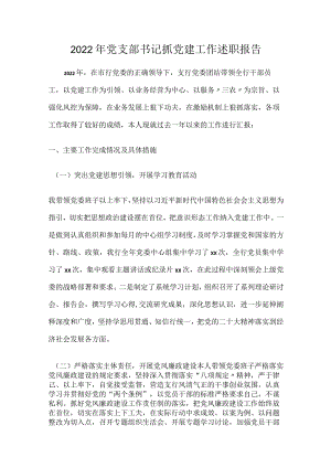 2022年党支部书记抓党建工作述职报告.docx