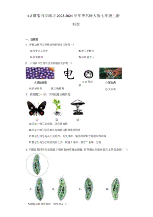 4.2 细胞 同步练习（含解析）.docx