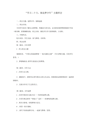 “学习二十大做追梦少年”中小学校主题班会队会教案.docx
