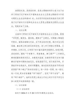 2023年度县政府党组班子教育专题生活会方案.docx