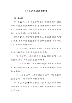 2023年公司安全应急管理方案.docx