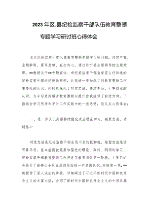 2023年区、县纪检监察干部队伍教育整顿专题学习研讨班心得体会.docx
