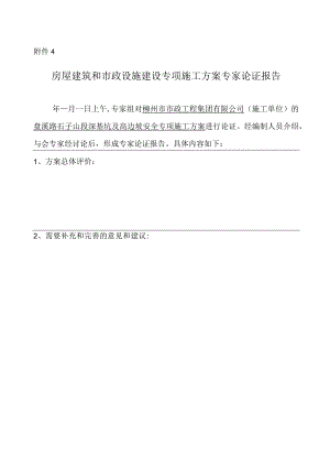 专家论证报告表.docx