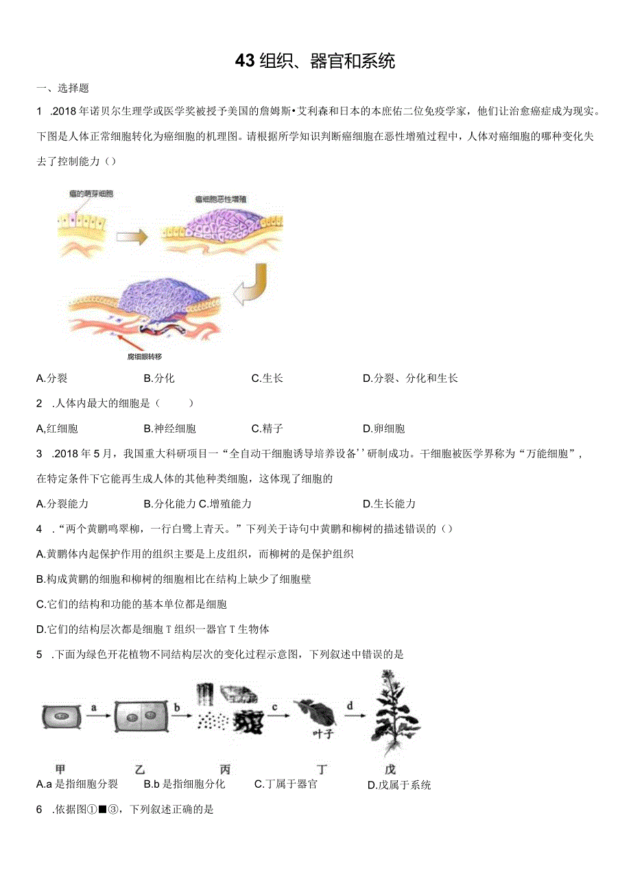 4.3组织、器官和系统 同步练习(含解析).docx_第1页