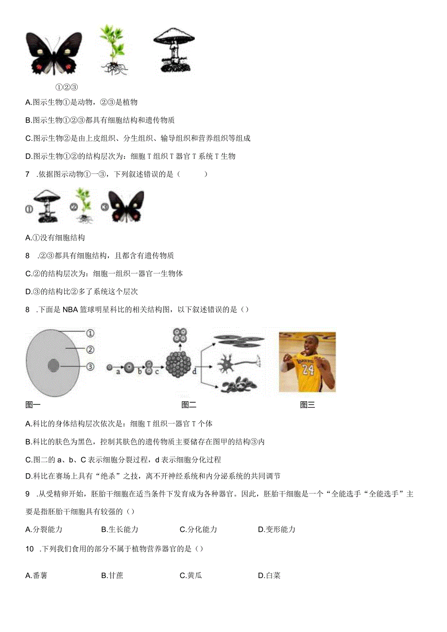 4.3组织、器官和系统 同步练习(含解析).docx_第2页