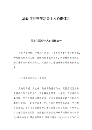 2023年民主生活会个人心得体会通用三篇.docx