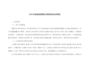 2020年度省级预算执行情况单位自评报告.docx