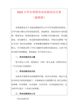 2023小学生寒假劳动实践活动方案.docx