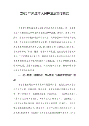 2023年未成年人保护法治宣传总结.docx