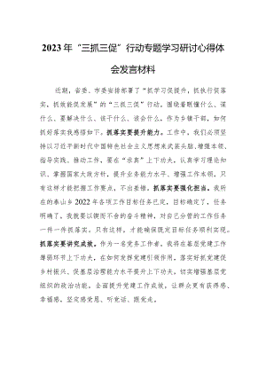 2023年“三抓三促”行动研讨学习心得体会（共3篇）.docx