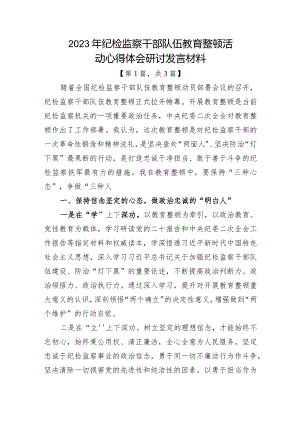 2023年纪检监察干部队伍教育整顿心得体会研讨发言材料共计-3篇.docx