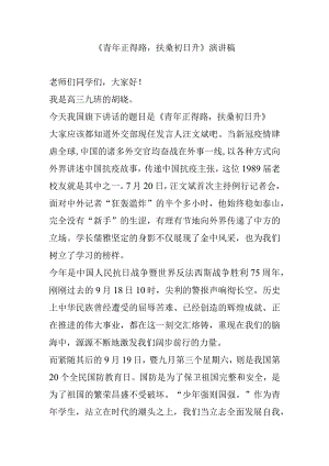 《青年正得路扶桑初日升》演讲稿.docx