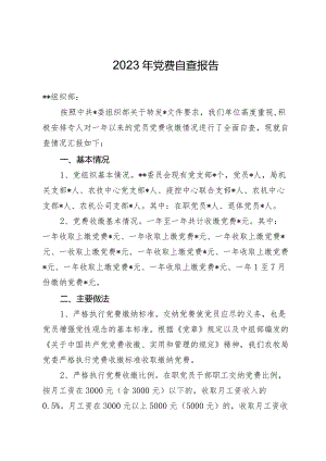 2023年党费自查报告.docx