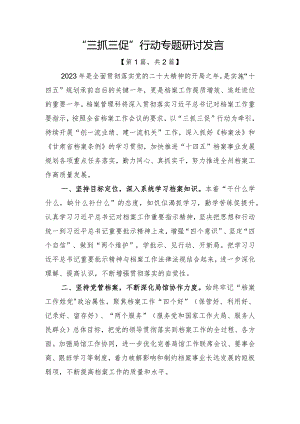 “三抓三促”行动专题研讨发言-2篇.docx