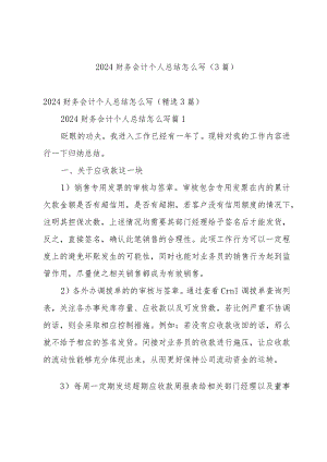 2024财务会计个人总结怎么写（3篇）.docx