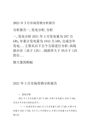 2009年3月市场营销分析报告.docx