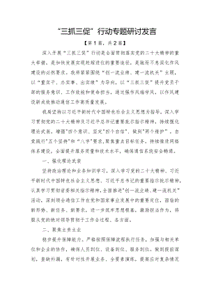 “三抓三促”行动专题研讨发言二篇.docx