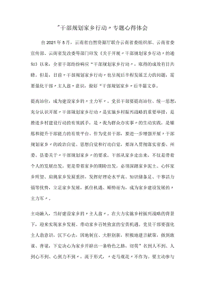 “干部规划家乡行动”专题心得体会.docx
