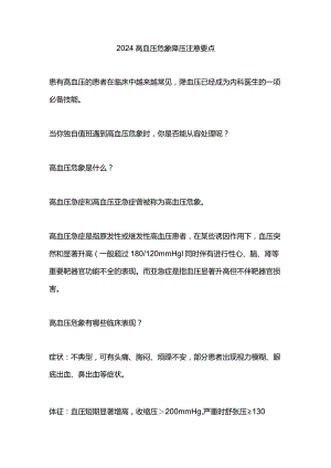 2024高血压危象降压注意要点.docx
