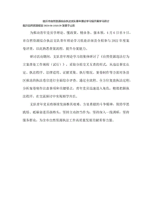 临沂市自然资源综合执法支队青年理论学习组开展学习研讨.docx
