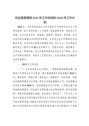 2023年工作总结及2024年工作计划精选合辑（应急局+政府办）.docx