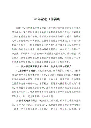 2023年党建工作要点、计划.docx