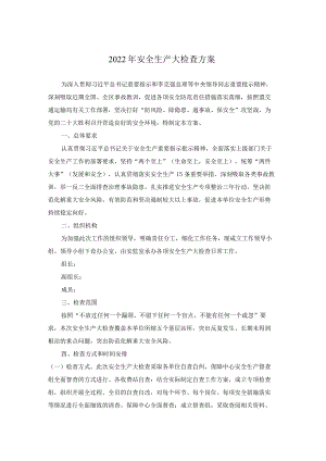 2022年安全生产大检查方案.docx