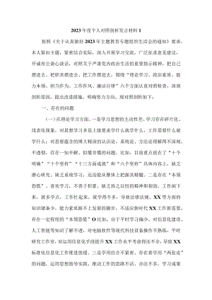 2023年度个人对照检查剖析材料一.docx