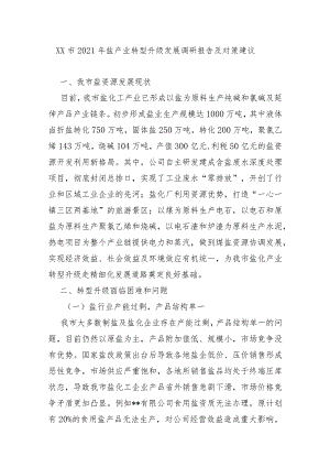 XX市2021年盐产业转型升级发展调研报告及对策建议.docx
